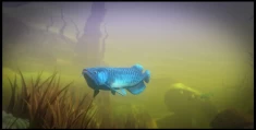开放水域生存模拟游戏《海底大猎杀/Feed and Grow: Fish v0.14.3》PC平台配置与启动指南